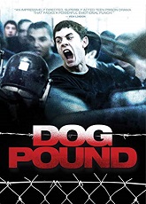 Dog Pound - Luganda