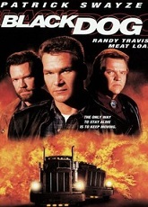 Black Dog