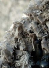 Seal Team 8 - Luganda