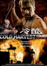 Cold Harvest - Luganda