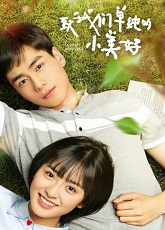 A Love So Beautiful 1