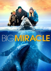 Big Miracle